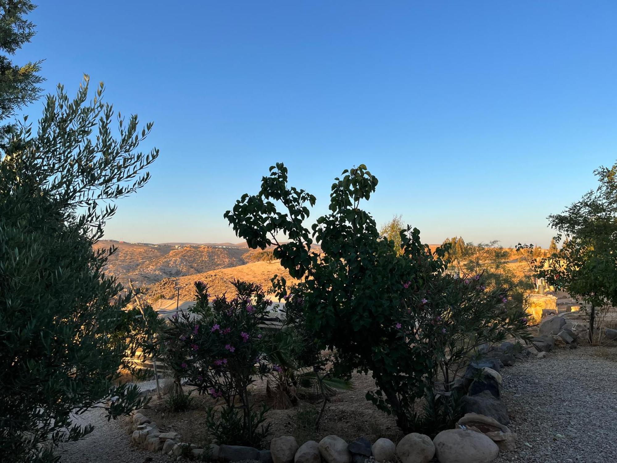 Al-Nawatef Eco Camp- Dana Nature Reserve ภายนอก รูปภาพ